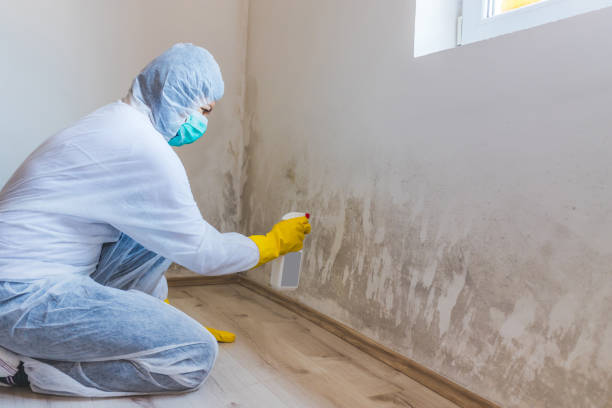 Mold Removal and Inspection in Hampton, VA