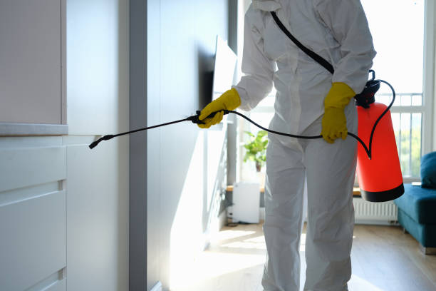 Best Mold Testing  in Hampton, VA