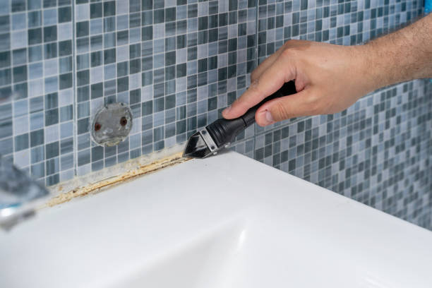 Best Emergency Mold Removal  in Hampton, VA